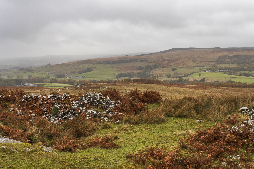Ferny Rigg